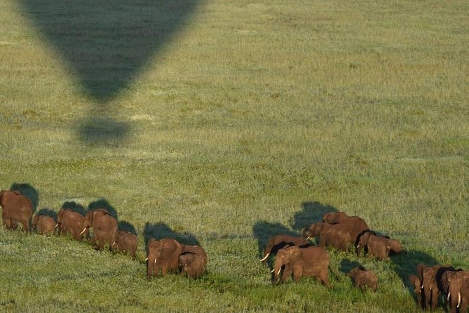 4 days luxury safari (a dream experience) - Day 4: Descending into Ngorongoro Crater