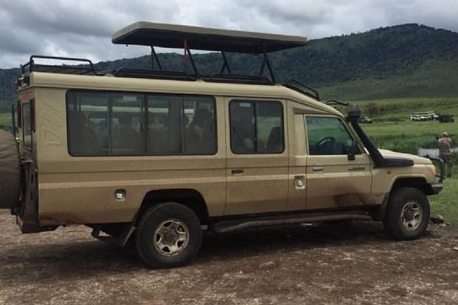 4 days luxury safari (a dream experience) - Day 2: A full Serengeti day with early and late drives