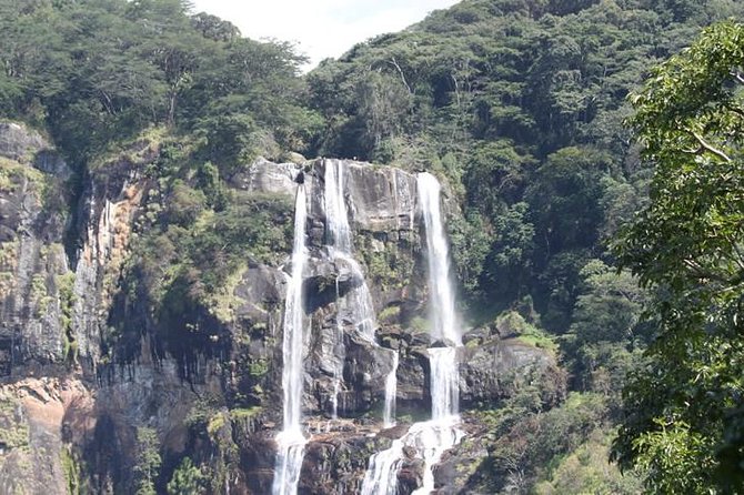 4 Days Mikumi & Udzungwa National Parks Safari - What the $1,200 price includes