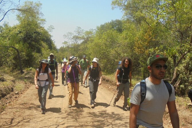 4 Days Mount Meru Climbing | Hiking | Trekking Tour - Day 4: A short return through forest and grassland