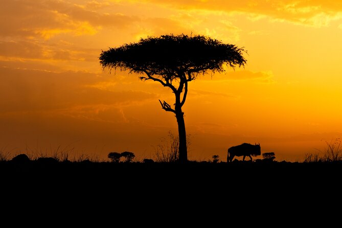 4 Days Private Arusha National Park, Serengeti, Ngorongoro Tour - Why this four-day route works