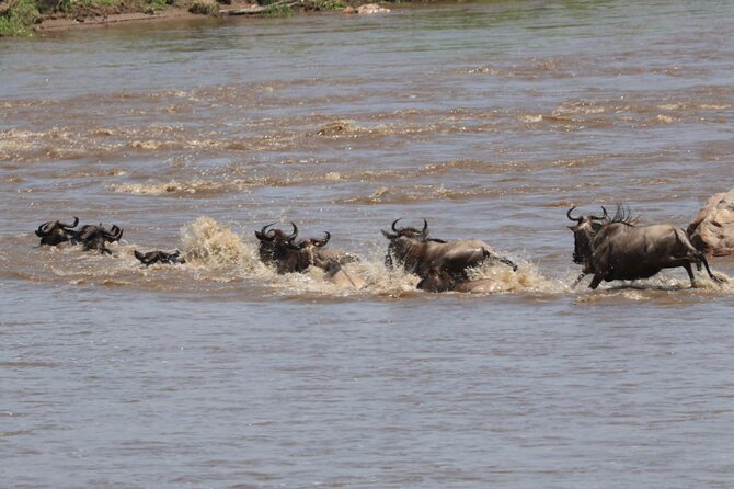 4 Days Private Arusha National Park, Serengeti, Ngorongoro Tour - The private format and guide service