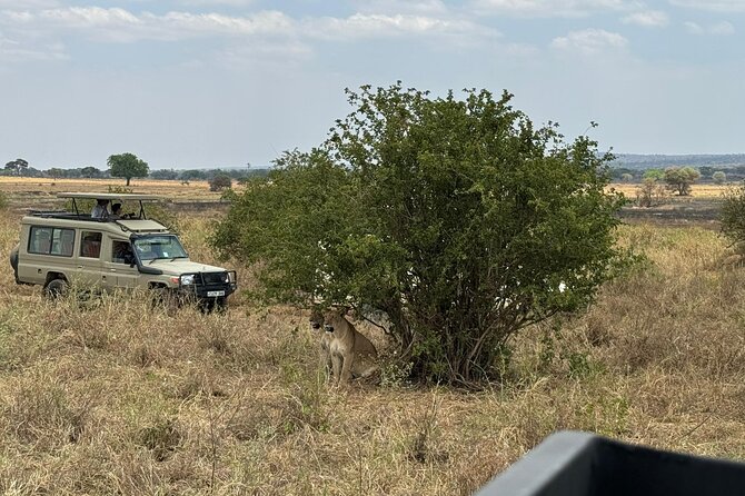 4 Days Private Arusha National Park, Serengeti, Ngorongoro Tour - Timing, comfort, and practical limits