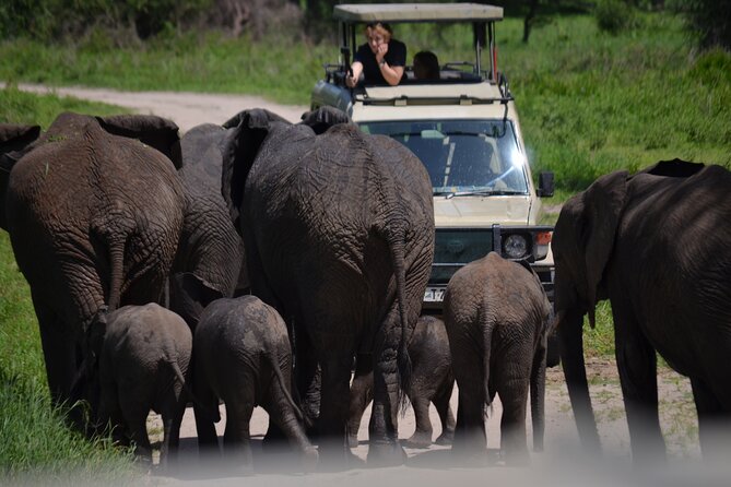 4 Days Private Midrange Lodge Safari to Serengeti & Ngorongoro - What the four-day route really involves