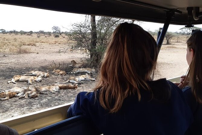 4 Days Private Midrange Lodge Safari to Serengeti & Ngorongoro - Day two, the long road into Serengeti