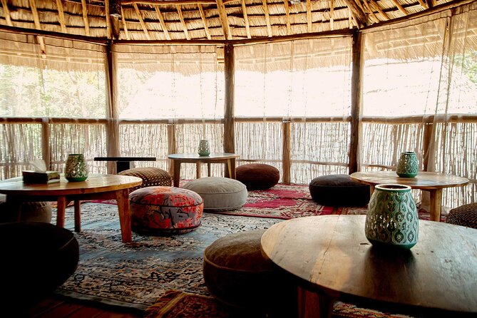 4 Days Private Midrange Lodge Safari to Serengeti & Ngorongoro - Day four, descending into Ngorongoro Crater