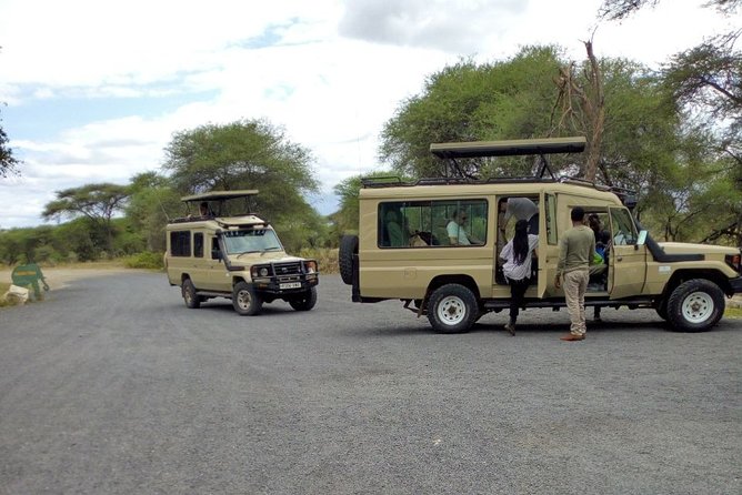 4 Days Private Midrange Lodge Safari to Serengeti & Ngorongoro - Day one at Tarangire, elephants and river views