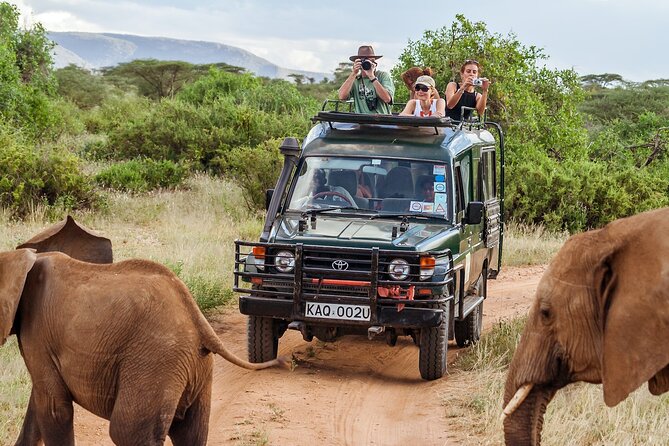 4-Days Private Midrange Safari Tarangire, Serengeti & Ngorongoro - Day 2: The road to Serengeti and the first big game drive