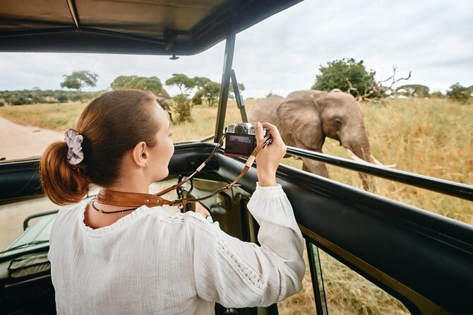 4-Days Private Midrange Safari Tarangire, Serengeti & Ngorongoro - Day 1: Lake Manyara offers a gentle wildlife start