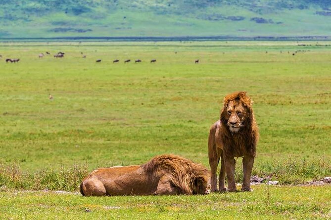 4-Days Private Midrange, Tarangire Ngorongoro, Manyara & Materuni - Who will enjoy this itinerary most?