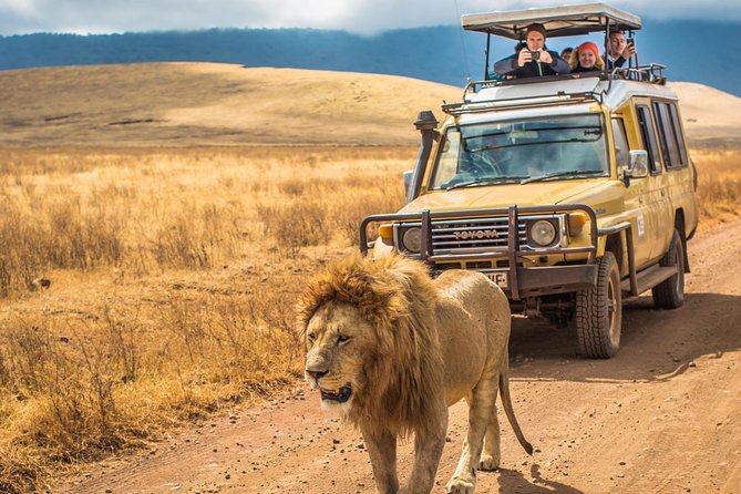 4 Days Private Safari - Tarangire, Serengeti & Ngorongoro Crater - Day 3: A final Serengeti morning and Maasai country