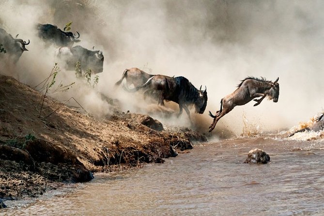 4 days Private Safari Tour Tanzania - Day 3: An early Serengeti drive and Olduvai Gorge