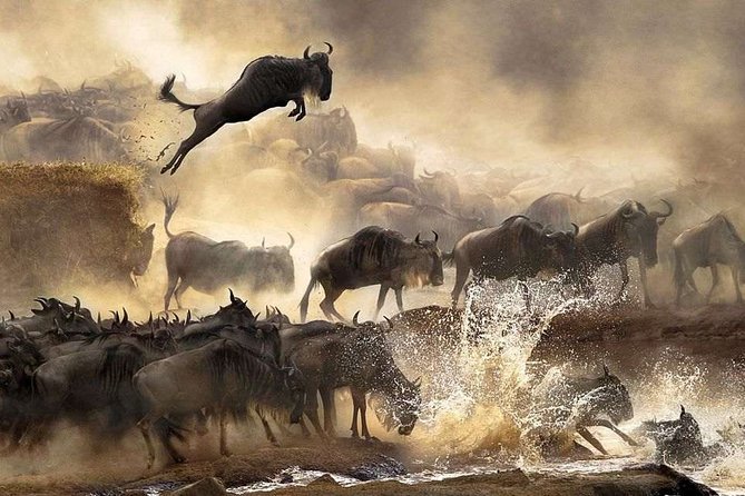 4 days Private Safari Tour Tanzania - The private format and guide support