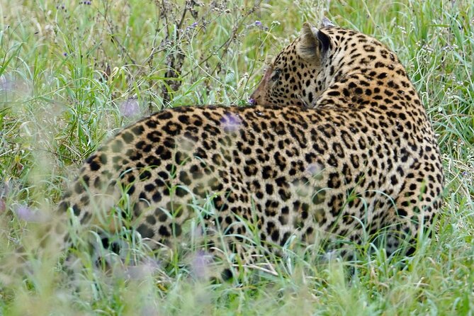 4 Days Private Tour Tarangire Crater and Serengeti - Key points to know before booking