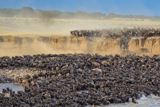 4 days safari in Tanzania - Guides, cooks, and the value of a smaller operator