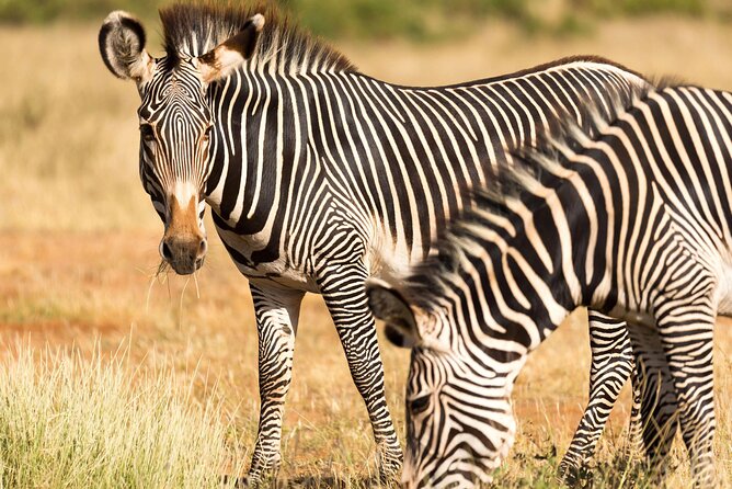 4 Days Safari to Tarangire, Serengeti and Ngorongoro - Day 1: Lake Manyara and the Great Rift Valley