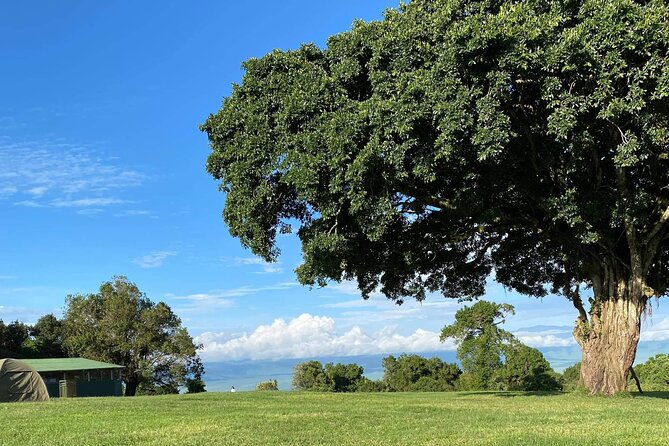 4 Days safari Tour Tanzania - The vehicle, guide, and private-tour advantage