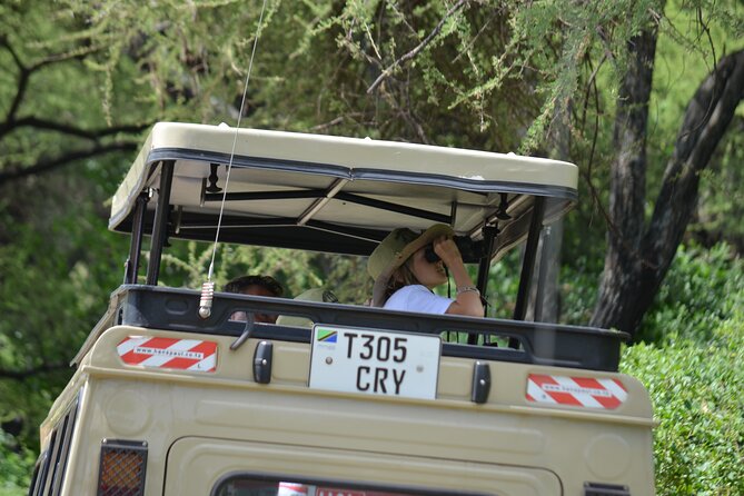 4 days serengeti & ngorongoro mid range tour - Day 3: Serengeti wildlife and a possible balloon flight