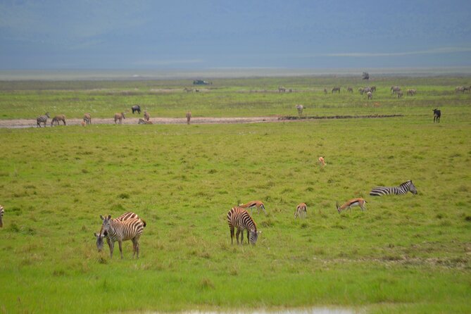 4 days serengeti & ngorongoro mid range tour - Lodges, food, and comfort on a mid-range budget