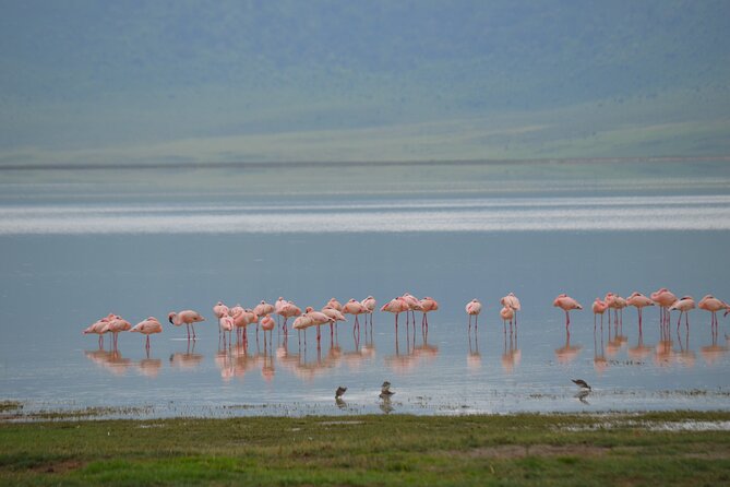 4 days serengeti & ngorongoro mid range tour - Is $4,000 per person good value?
