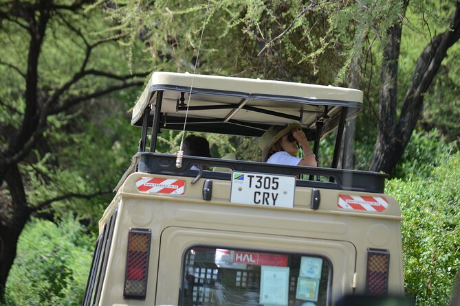 4 days serengeti & ngorongoro mid range tour - Day 1: Nine hours among Tarangire’s elephants
