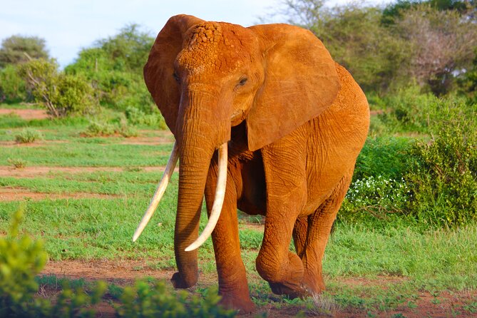 4 Days Tanzania Budget Group Join Safari- Serengeti & Ngorongoro - Why this safari works for a short Tanzania visit