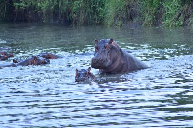 4 Days Tanzania Budget Group Join Safari- Serengeti & Ngorongoro - A final crater search before Arusha