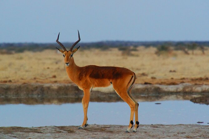 4 Days Tanzania Budget Group Join Safari- Serengeti & Ngorongoro - The strongest reasons to choose it