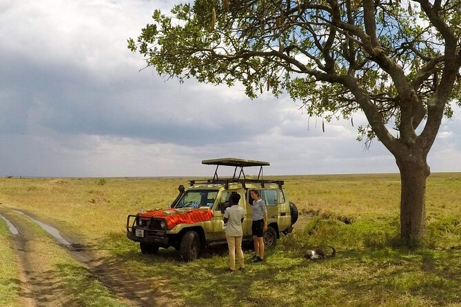 4 Days Tanzania Budget Safari - Day 4: Down into Ngorongoro Crater