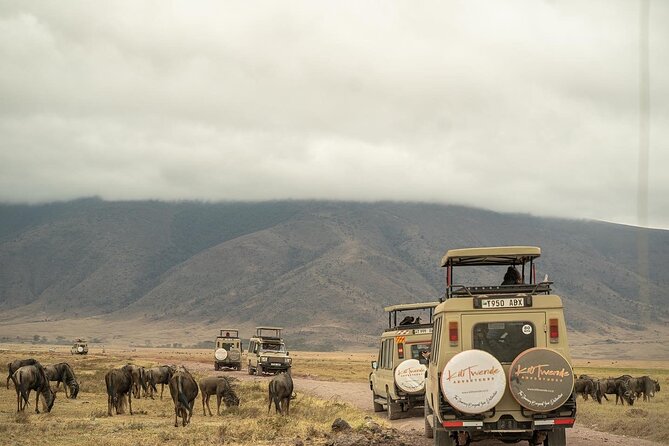 4 Days Tanzania Budget Safari - Camping, food, and the daily rhythm