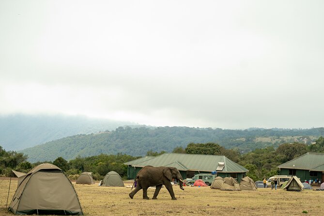 4 Days Tanzania Budget Safari - Timing, pickup, and who fits this safari best