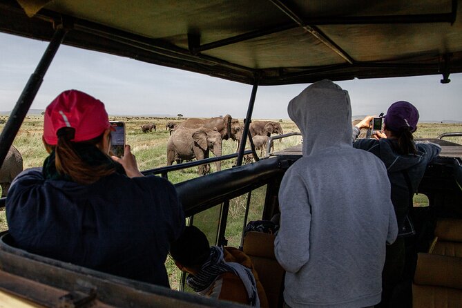 4 Days Tanzania Budget Safari - Should you book this four-day safari?
