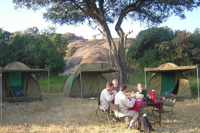 4 Days Tanzania Camping Safari - What this four-day safari is really offering