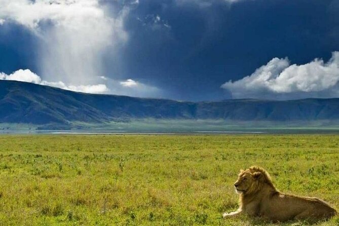 4 Days Tanzania Camping Safari - Day 2: The long road to the Serengeti