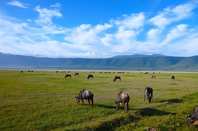 4 Days Tanzania Camping Safari - Day 3: Sunrise in the Serengeti, sunset above Ngorongoro