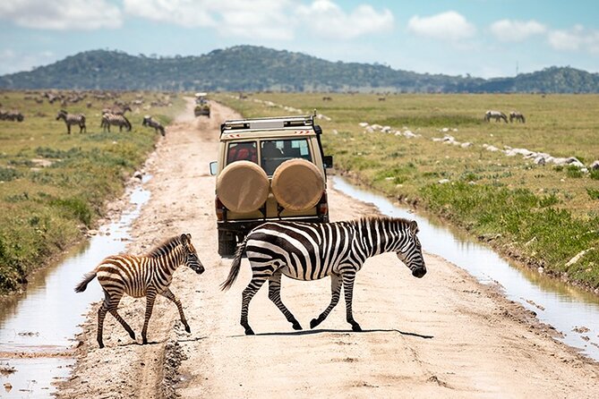 4 Days Tanzania Camping Safari - Camping comfort and included meals