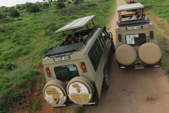4 Days Tanzania Group Joining Safari with Mid-range Accommodation - The strongest parts of the experience