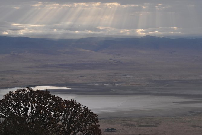 4 days Tanzania group safari to Serengeti, Crater and Tarangire - Is $950 good value?