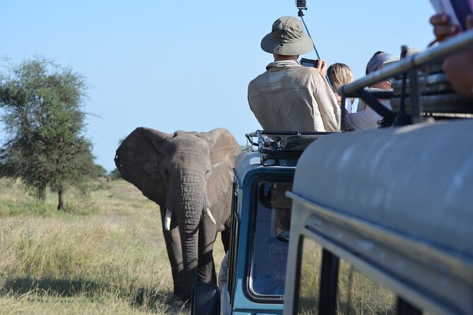 4 Days Tanzania Lodge Safari With Two Nights at Serengeti - Day One: Elephants and Baobabs in Tarangire