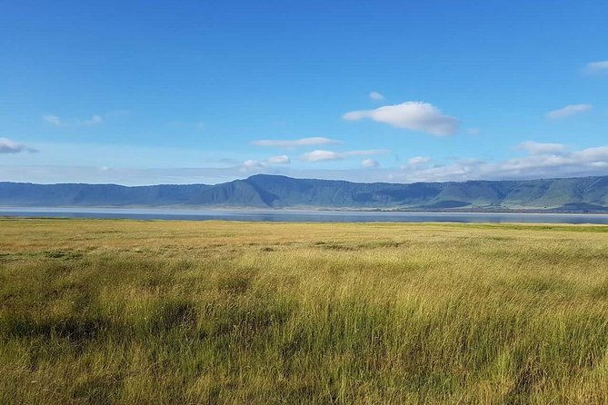 4 Days Tanzania Luxury Safari - Guides, drivers, and the private format