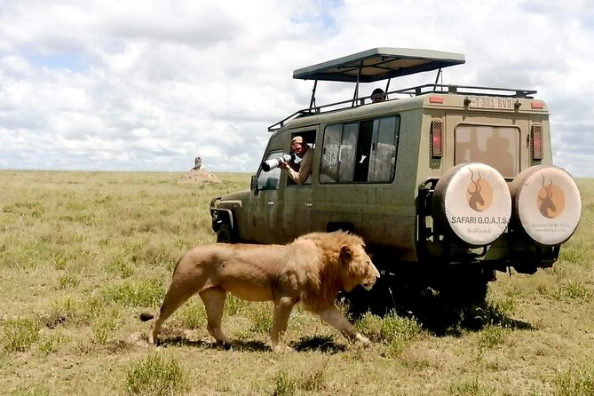4 Days Tanzania Private Lodge Safari - Day 1: Tarangire’s elephants and baobabs