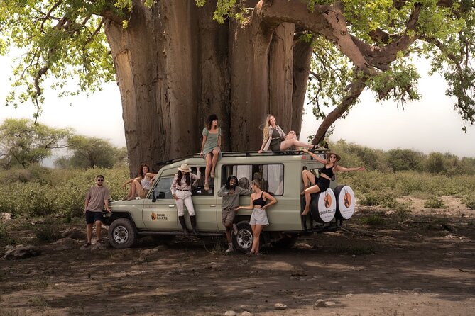 4 Days Tanzania Private Lodge Safari - Guides, service, and the vehicle question