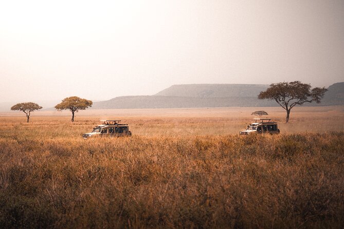4 Days Tanzania Private Lodge Safari - Day 2: The long road to the Serengeti