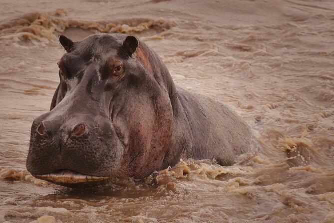 4 Days Tanzania Safari - Guide service and the human side of the trip