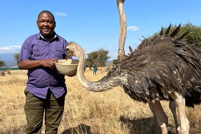 4 Days Tanzania Safari Tarangire, Serengeti and Ngorongoro Crater - What the $1,200 price really buys you
