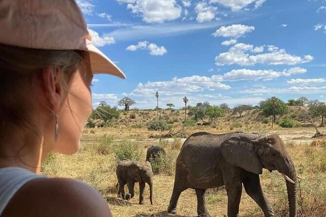 4 Days Tanzania Safari Tour - Day 1: Tarangire’s elephants and baobabs