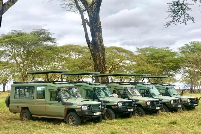 4 Days Tanzania Safari Tour - Day 3: A full day in the central Serengeti