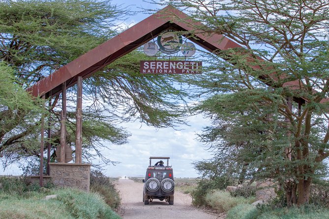 4 Days Tarangire , Ngorongoro ,Manyara and lake Eyasi village - Day 1: Tarangire’s elephants and baobabs