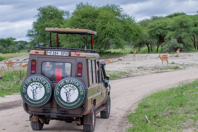 4 Days Tarangire , Ngorongoro ,Manyara and lake Eyasi village - Day 3: Inside the 600-meter Ngorongoro Crater
