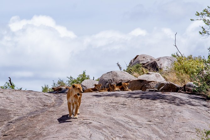 4 Days Tarangire , Ngorongoro ,Manyara and lake Eyasi village - Day 2: Lake Manyara’s water, forest, and birds